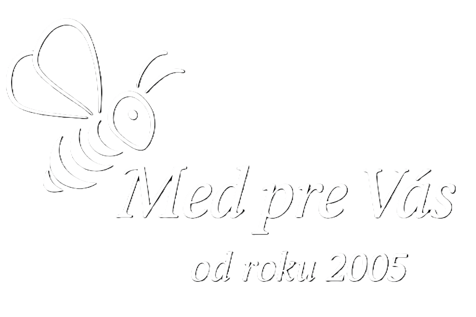 Logo v pätičke
